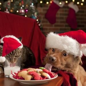 Meet your Posher, Amberlynn